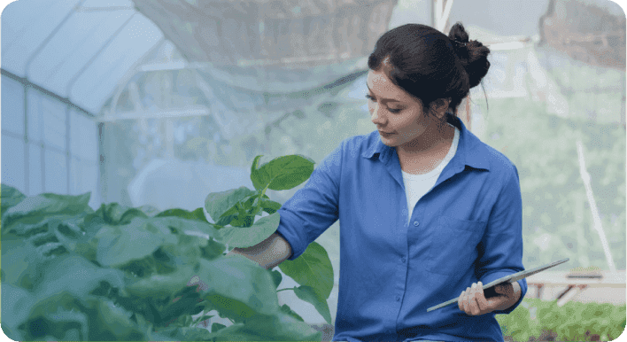 Agriculture