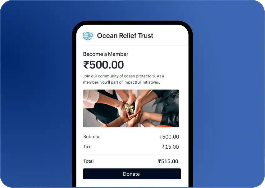 Mobile checkout page preview