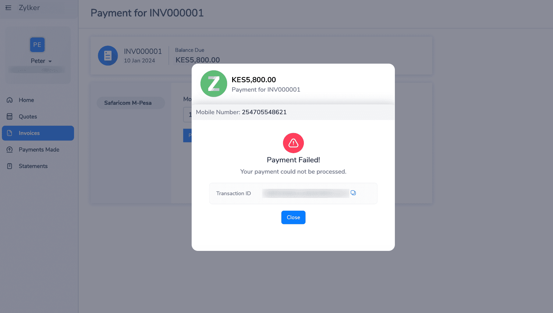 Customer Portal Payment Failed